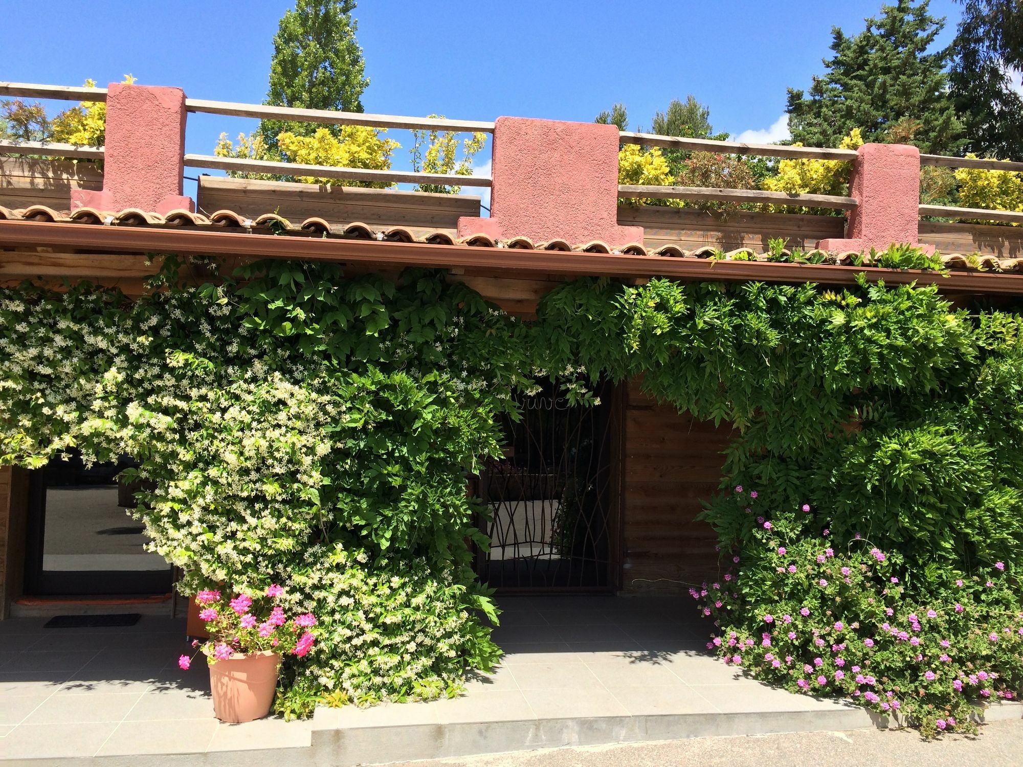 Vigna Maggiore Olmeto  Exterior photo